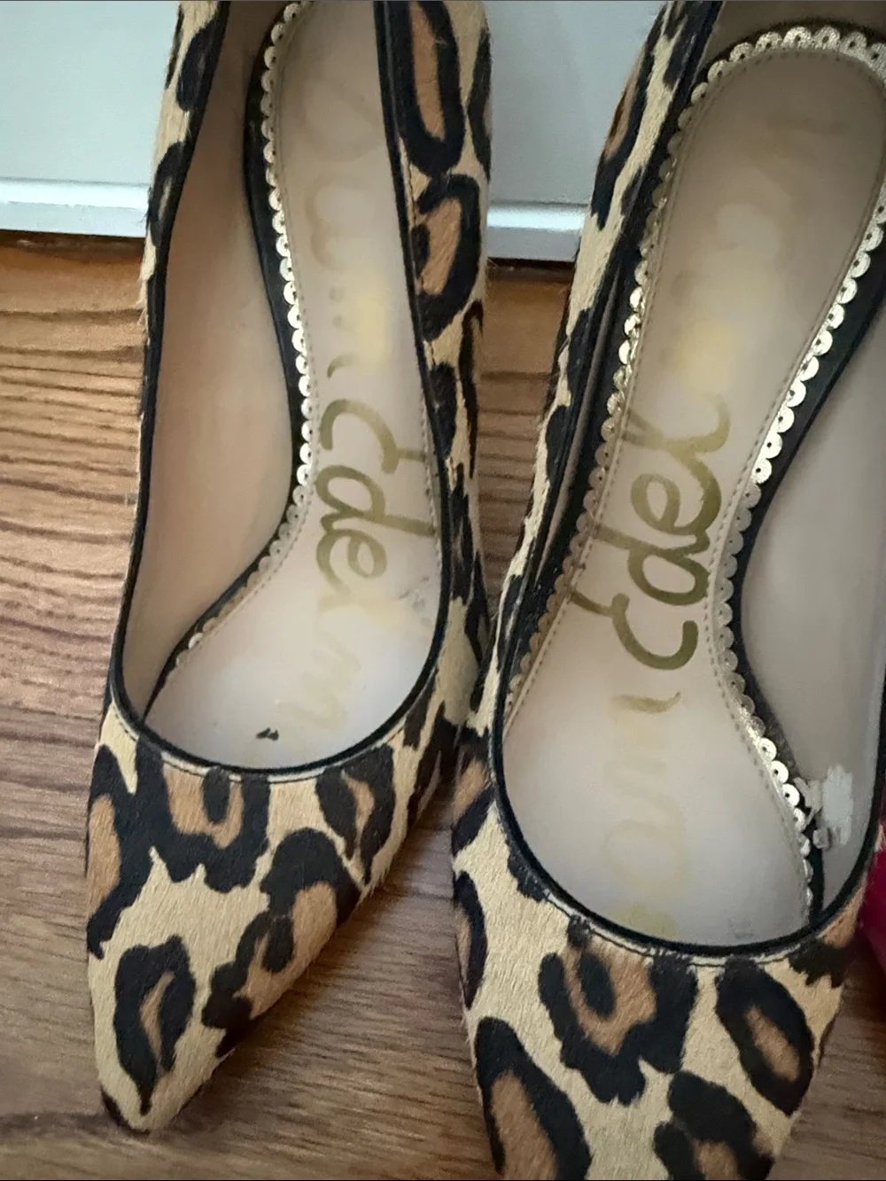 Sam Edelman Pointed Toe Pumps in Leopard, Hot Pink, Light Blue, Olive and Slate